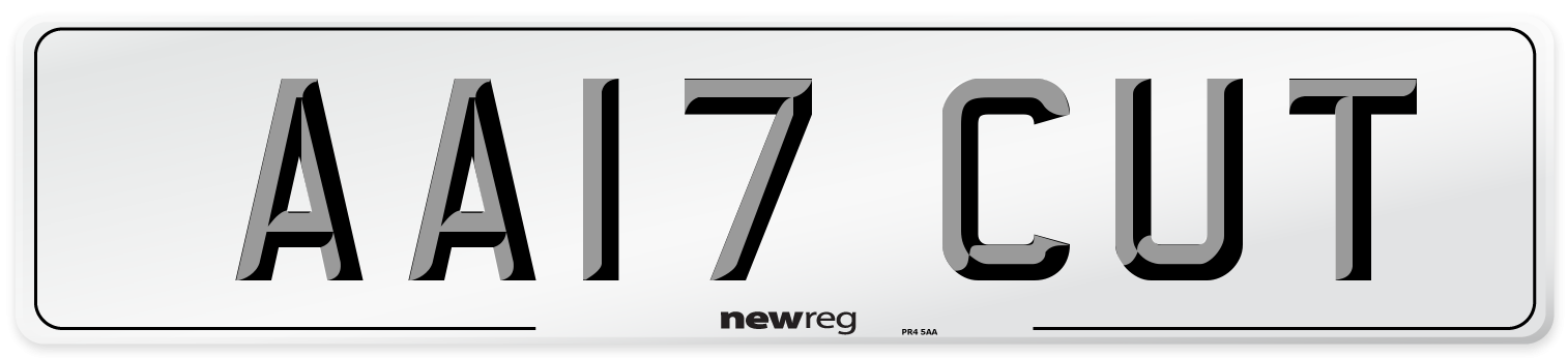 AA17 CUT Number Plate from New Reg